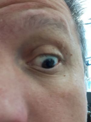 Neb10152538's profile picture. my opinions