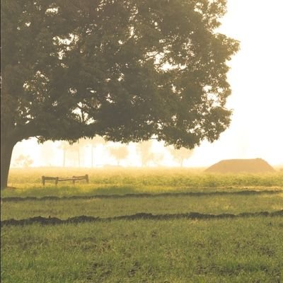 ebrut3819's profile picture. civil engineer