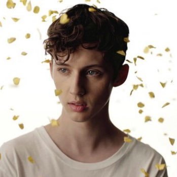 Just a @troyesivan fan acc bc he's a beautiful precious angel and needs more fan accs 🌹 main acc : @wagsnruger