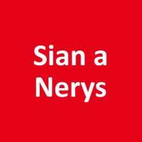 Sian a Nerys(@siananerys) 's Twitter Profile Photo