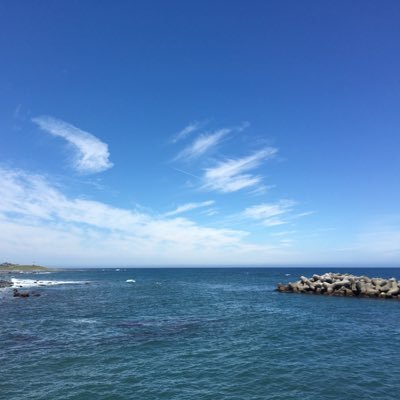 Okiyo46's profile picture. 