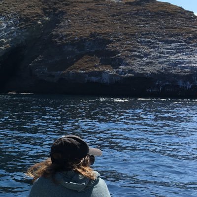 LucTravelsalot's profile picture. Small Business owner trying to survive in CA. Runner and tax guru.