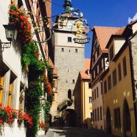 こはる🇩🇪 (@koharu_hsg) Twitter profile photo