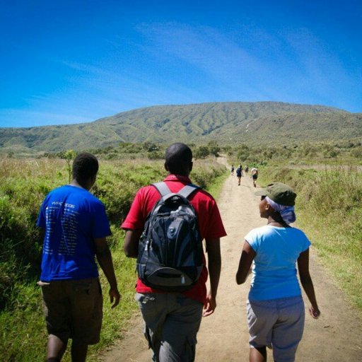 hikingadv's profile picture. • Mountains | Hills | Trails •