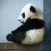 J (@nosocunpanda) Twitter profile photo J (@nosocunpanda) Twitter profile photo