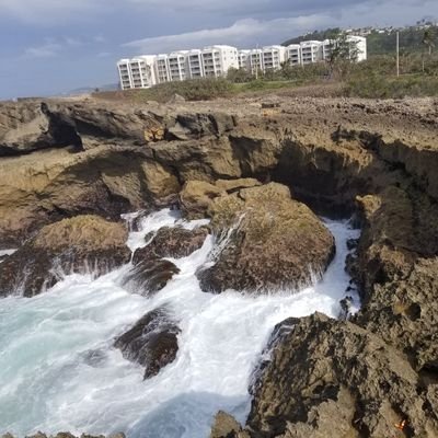 GladysMonse9's profile picture. Hola soy muy sincera y me gusta salir a pasear y a divertirme