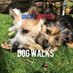Great British Dog Walks (@gbdogwalks) Twitter profile photo Great British Dog Walks (@gbdogwalks) Twitter profile photo