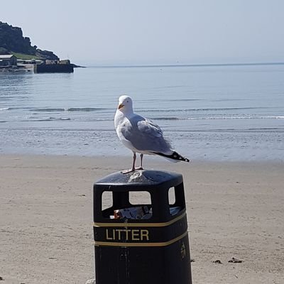 alexcon17's profile picture. 