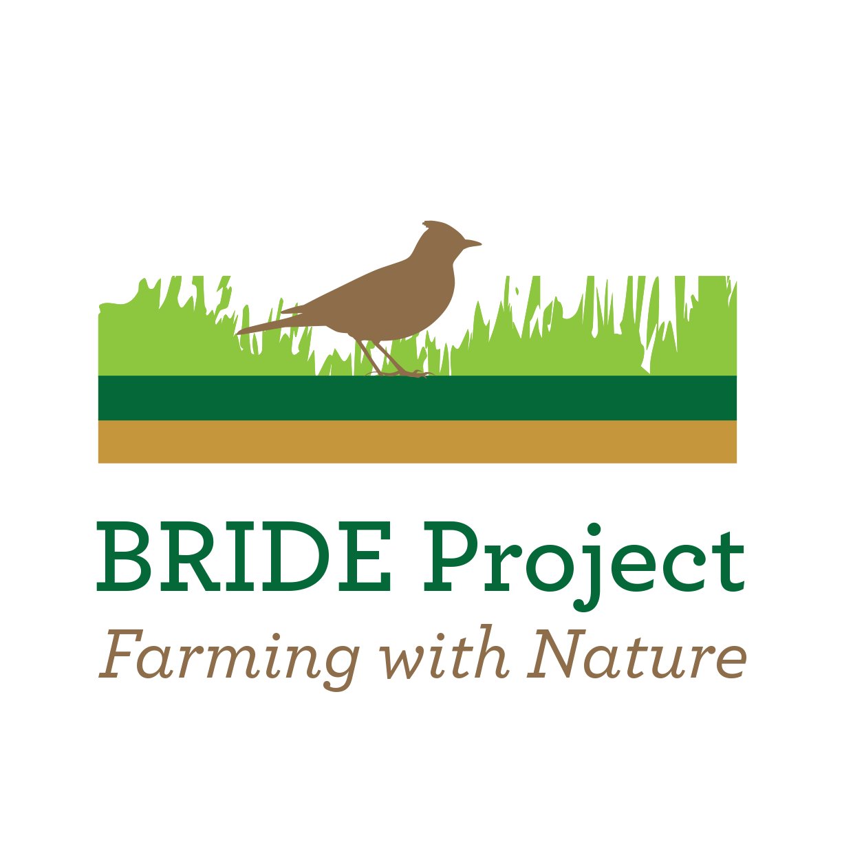 The ‘Biodiversity Regeneration In a Dairying Environment’ (BRIDE) project will provide farmers with effective wildlife management options for individual farms.