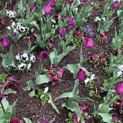 AmberadelleD's profile picture. Life is short...Live it.