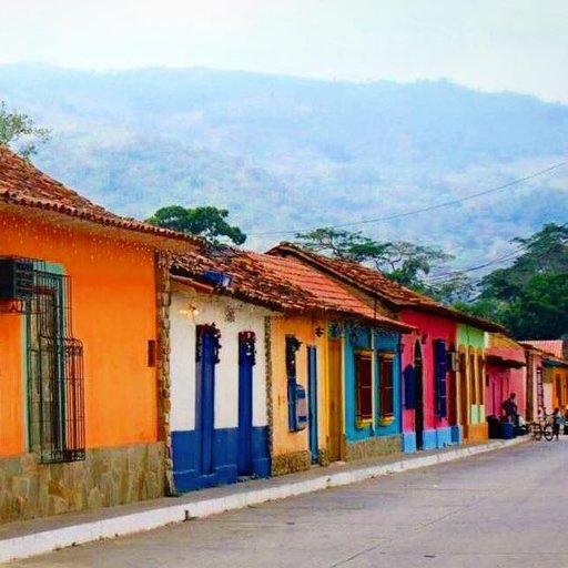 ValleCanoabo's profile picture. desde 1976: Asociación  de Productores de Cacao Canoabo, el mejor del mundo. Numero de contacto: +584265444628. laitovousa@gmail.com Instagram: @vallecanoabo