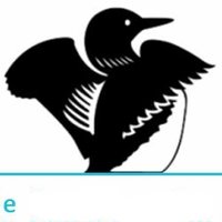 Sandy Lake Conservation Association (@sandylake_park) 's Twitter Profile