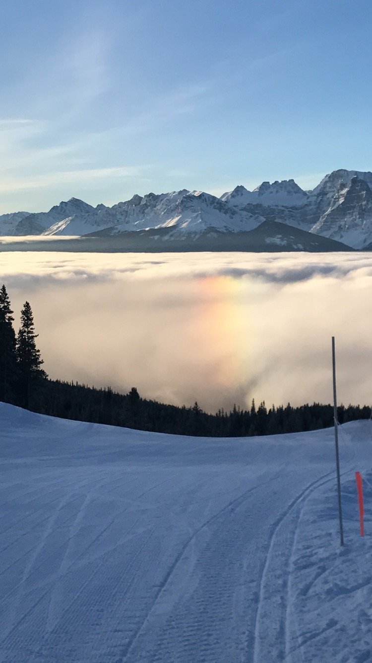 NealWeber6's profile picture. 