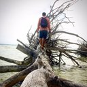 Cameron Comstock - @CameronCompound - Twitter