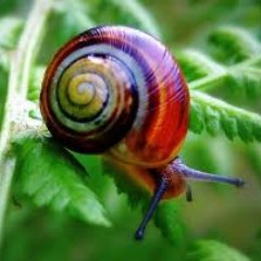 LupeTosk's profile picture. A veces, las personas no necesitan palabras para decir lo que sienten. Con una mirada podemos decirlo todo