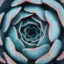 Plantosphere (@plantosphere_) Twitter profile photo Plantosphere (@plantosphere_) Twitter profile photo