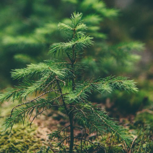 The Centre for Law & the Environment @LawUCC @eriucc draws together our research, teaching & policy work relating to law and the environment.