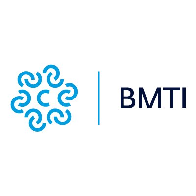 BMTI_IT Profile Picture