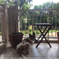 Ruchira Jaitly (@ruchirajet) 's Twitter Profile