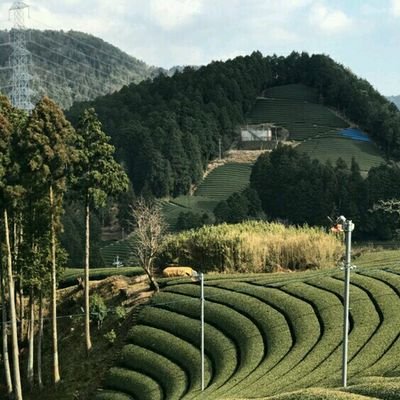 rbXxNtgN44htkbS's profile picture. 現役の学生。社会貢献のため学業と実業に注力。コロナ禍により心をすり減らす日々。