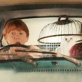 上南»北高2の2│back number│UK│Rupert Grint│