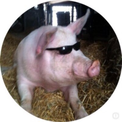 mike van gorp gerpa14 twitter dr van gorp