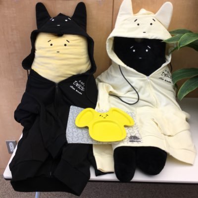 楽しみを作る!!成人済み30↑/2次元・声優さん大好き/梶くんのぶくんを応援してます(=゚ω゚)ノ黒バスに出会えたことに感謝(=´∀`)人(´∀`=)カービィ最推し!
