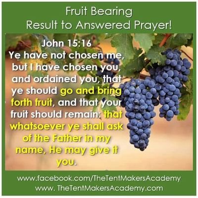 ubaoks's profile picture. an adventurer searching for that REAL THING