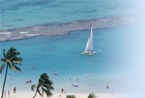 Beachlistings's profile picture. Orange Beach Gulf Shores Perdido Key New MLS Listings