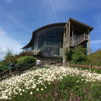 WelshWildlifeCentre (@welshwildlife) 's Twitter Profile