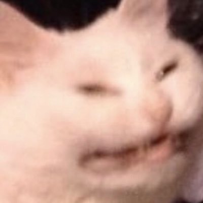 Everyone on this app is out to piss people off. I just rate the rage bait on a scale of 1 to 10 with a short description of why I think it’s retarded or clever.