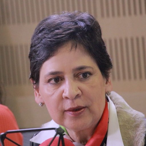 ExDirectora del Instituto Geográfico Agustín Codazzi IGAC, ExSuperintendente de Servicios Públicos, ExViceministra de Minas y Energía