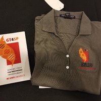 GT4SP (@teamgt4sp) 's Twitter Profile