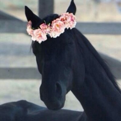 MLJsAcR0Af1xmi3's profile picture. 