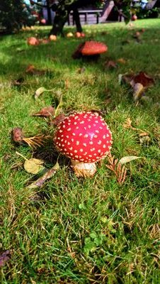 karl07868650's profile picture. 