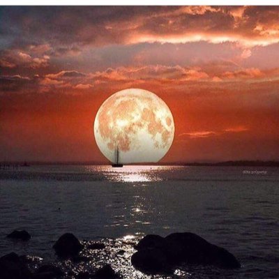 EneidaJBbd's profile picture. Buena lectora,madre,esposa,hija,hermana y ahora abuela. Fanática del Baseball y una vez fui bolichera. Colecciono Maximas.......