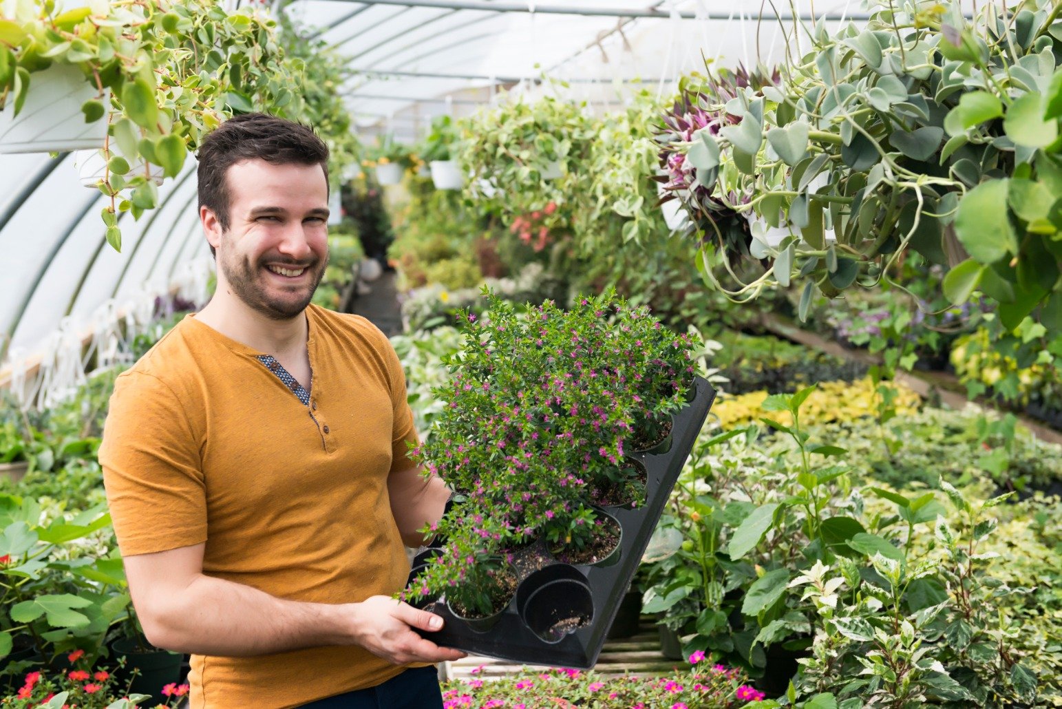 GuillaumeMuso's profile picture. 