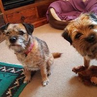 Meg&Frank (@megandfrankbts) 's Twitter Profile