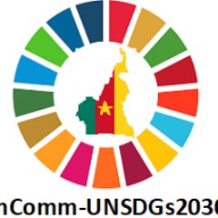 Cameroon Commission on UN SDGs Agenda 2030