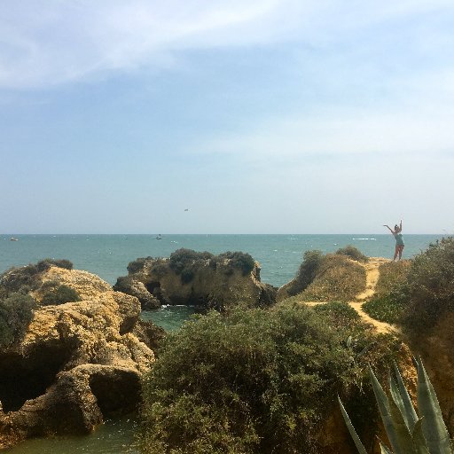 CAdams174's profile picture. University of Illinois Class of 2018
                          ΑΓΔ