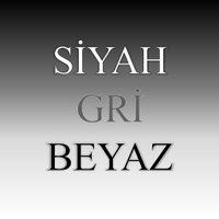 Siyah Gri Beyaz(@siyahgribeyaz) 's Twitter Profile Photo