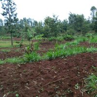 Mbinda Muriithi (@joembinda) 's Twitter Profile