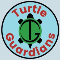 Turtle Guardians(@TurtleGuardians) 's Twitter Profile Photo
