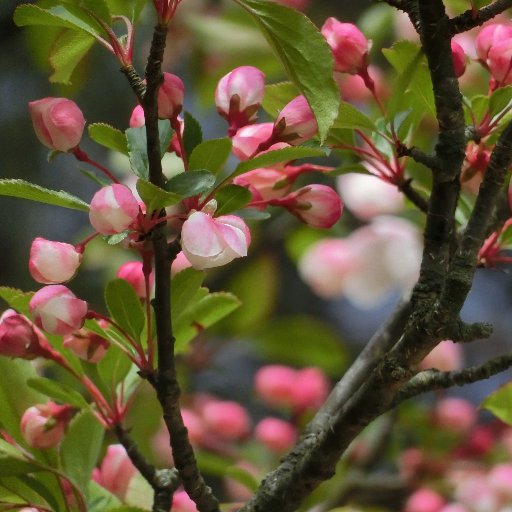 you_moonlight's profile picture. オッチョコチョイな二児の母😅
九州の南に生息中🌋

ゆずのライブに行きてぇ…。

⚠副業関係のお誘いはご遠慮ください。