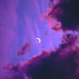 MzOreo_'s profile picture. YouTube and Twitch are my homes #RoseForever #DevonDoesTomahawk #GOB #PauseUnpause