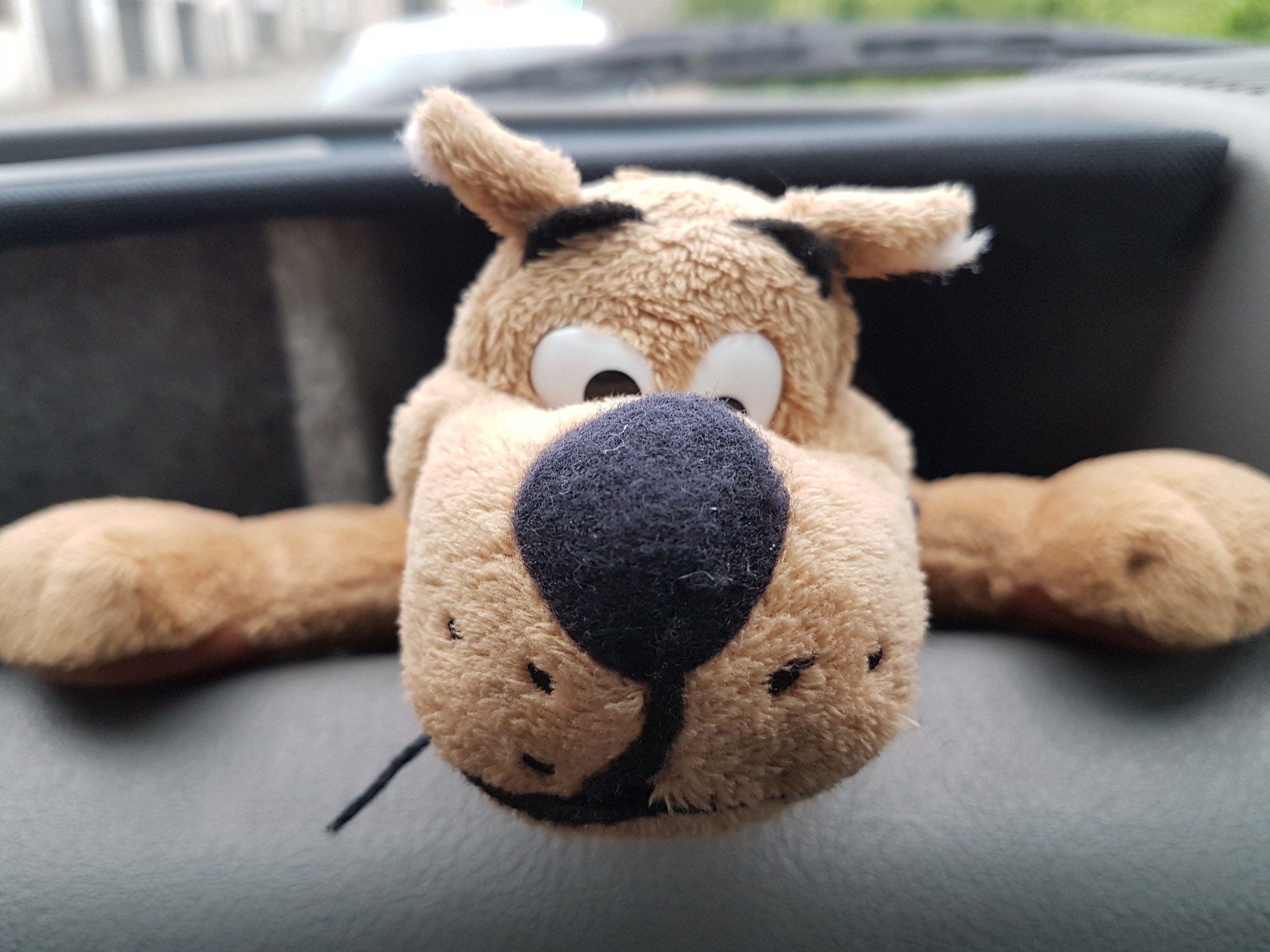 andylaauk's profile picture. If you have to ask..........

Pronouns - No