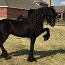 Javier Olea Abarca - @Javierm2223Olea - Twitter