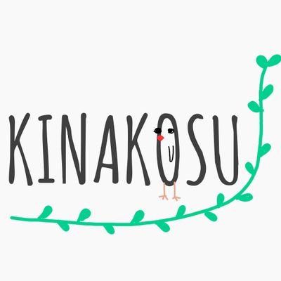 kinakosu_shop Profile Picture