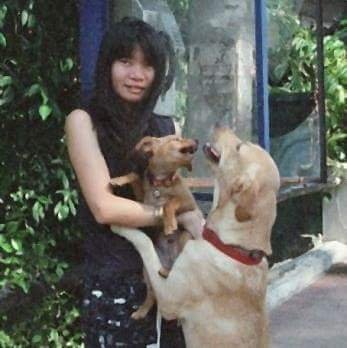 AraleyaFlower's profile picture. enjoy to look for hidden beauties and happiness all around by heart and  thru camera lens