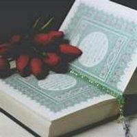 جلب الحبيب -رد المطلقة (@raoof0a) 's Twitter Profile
